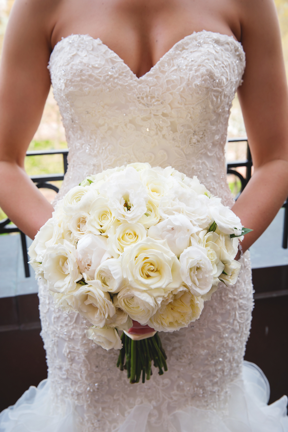Michelle Carpenter Photography
