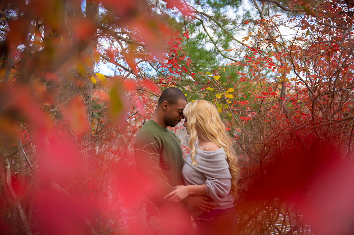 Michelle Carpenter Photography