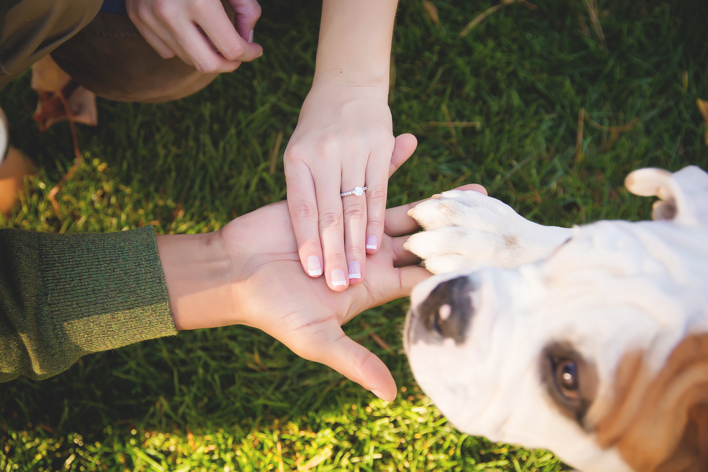 Michelle Carpenter Photography